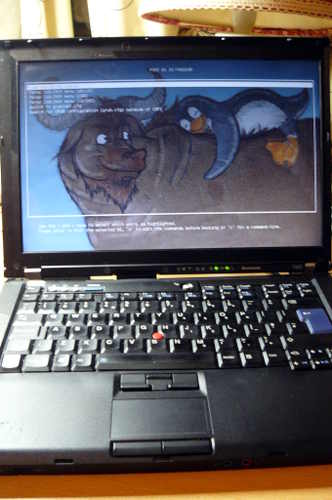 ThinkPad T400